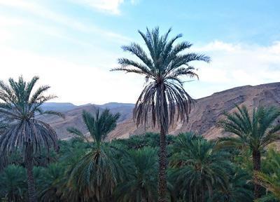 بناب، روستایی در دل کوهستان های هرمزگان بناب، روستایی در دل کوهستان های هرمزگان