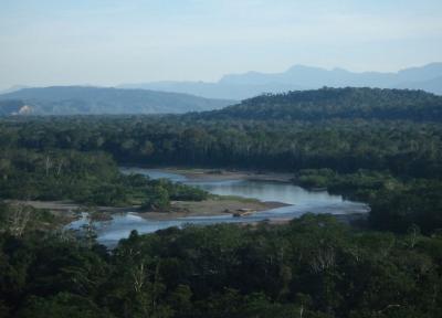 پارک ملی مادیدی بولیوی: سفر به متنوع ترین نقطه بیولوژیکی سیاره زمین پارک ملی مادیدی بولیوی: سفر به متنوع ترین نقطه بیولوژیکی سیاره زمین